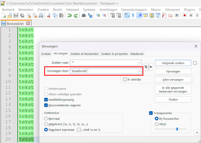 Een Woord toevoegen aan het begin of einde van elke regel in Notepad++